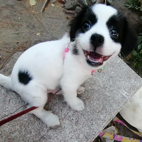 สมาชิกหมายเลข 3147530