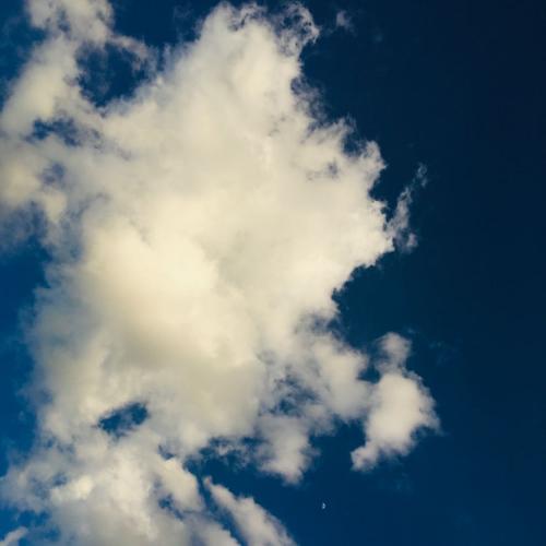 สมาชิกหมายเลข 2847203