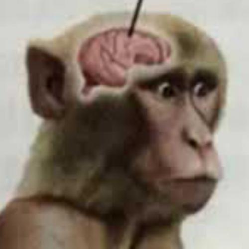 สมาชิกหมายเลข 4690693