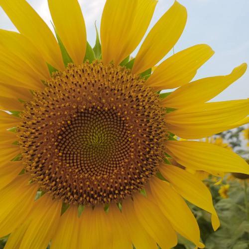 สมาชิกหมายเลข 6026514