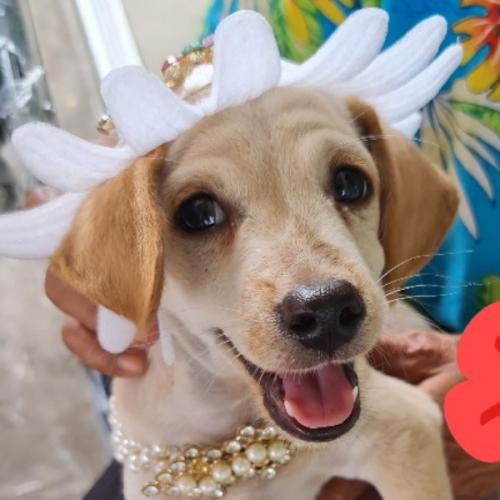 สมาชิกหมายเลข 6201184