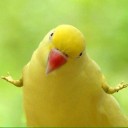 สมาชิกหมายเลข 4037772