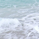 สมาชิกหมายเลข 4481609