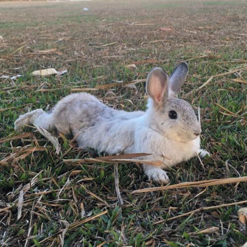 สมาชิกหมายเลข 4497098