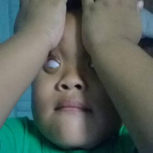 สมาชิกหมายเลข 4819202