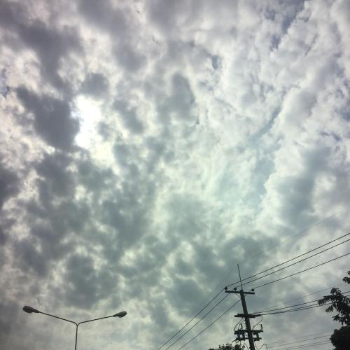 สมาชิกหมายเลข 5214151