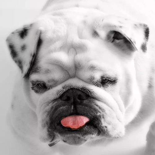 สมาชิกหมายเลข 5215071