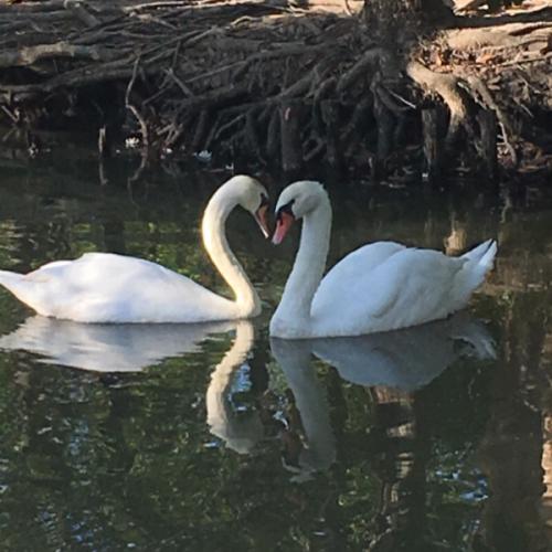 สมาชิกหมายเลข 5633253