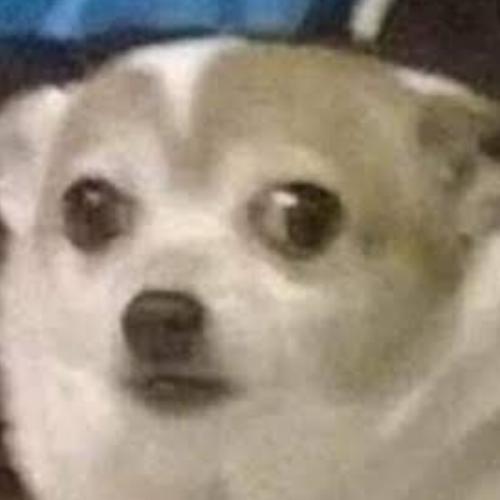 สมาชิกหมายเลข 5179887