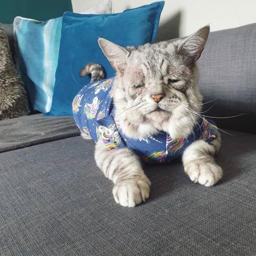 สมาชิกหมายเลข 1906977