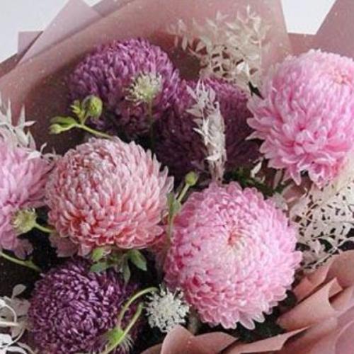 สมาชิกหมายเลข 6847917