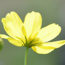 สมาชิกหมายเลข 1957702