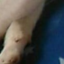 สมาชิกหมายเลข 4497360