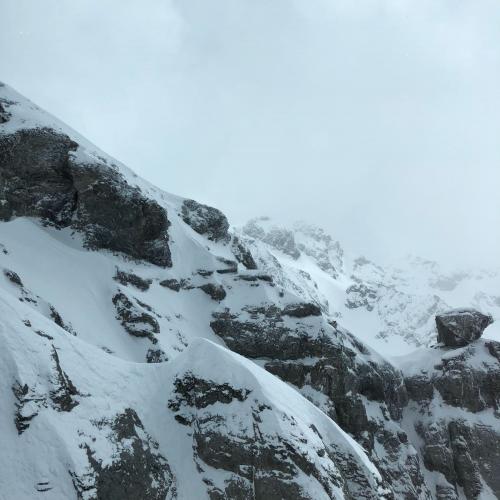 สมาชิกหมายเลข 4497372