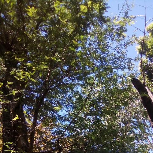 สมาชิกหมายเลข 4829495