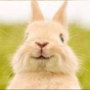 สมาชิกหมายเลข 3869219