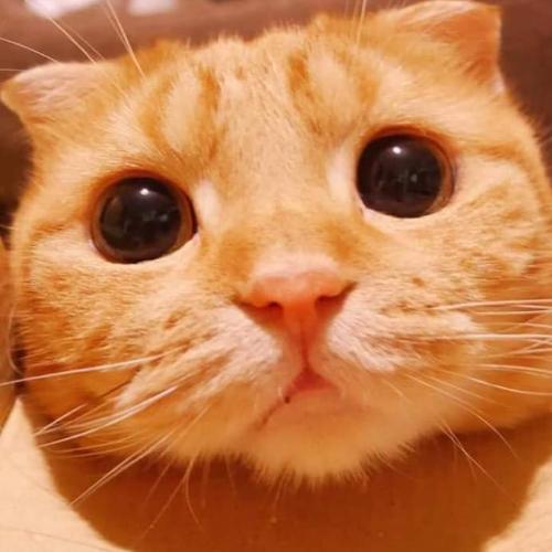 สมาชิกหมายเลข 4900966