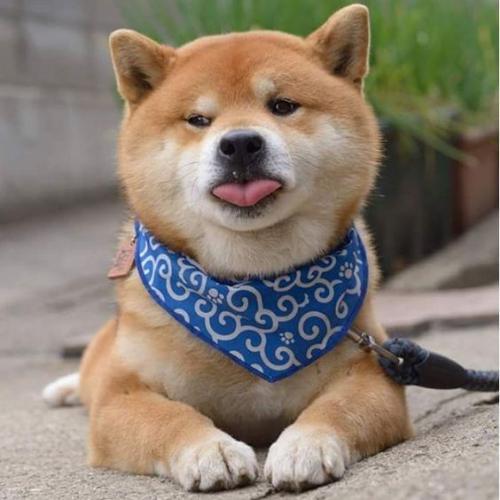 สมาชิกหมายเลข 5215271