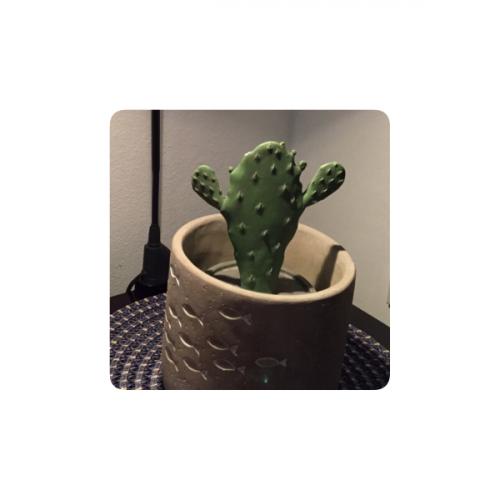 สมาชิกหมายเลข 5215423