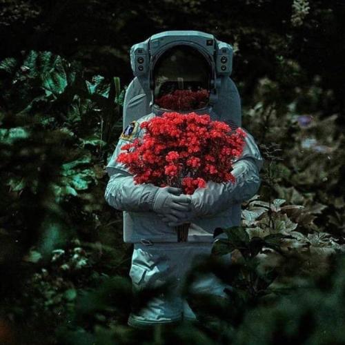 สมาชิกหมายเลข 4964337