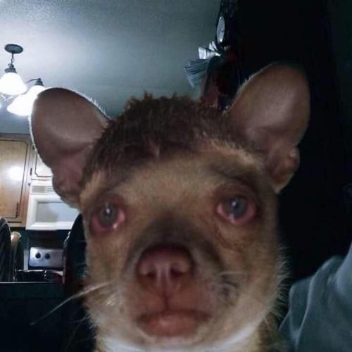 สมาชิกหมายเลข 5633732