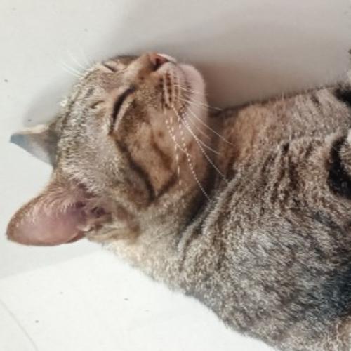 สมาชิกหมายเลข 6094714