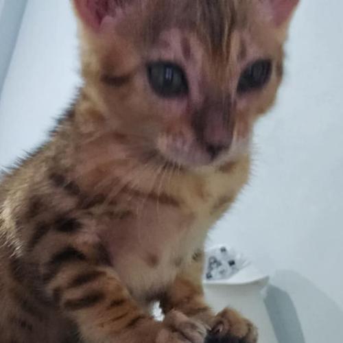 สมาชิกหมายเลข 7695148