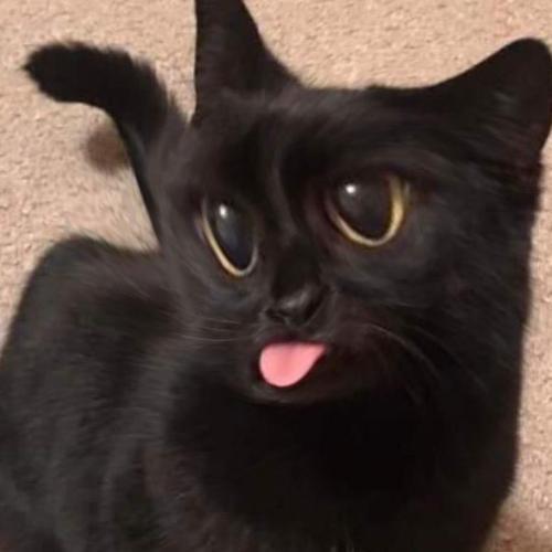 สมาชิกหมายเลข 7948426