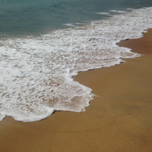 สมาชิกหมายเลข 4491310