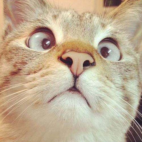 สมาชิกหมายเลข 3587177