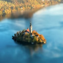 สมาชิกหมายเลข 2611378