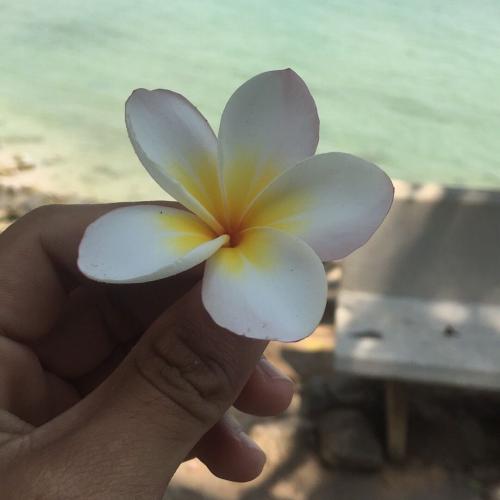 สมาชิกหมายเลข 4545406