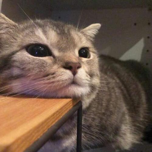 สมาชิกหมายเลข 5215907