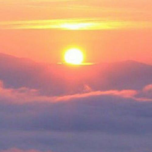 สมาชิกหมายเลข 5360146