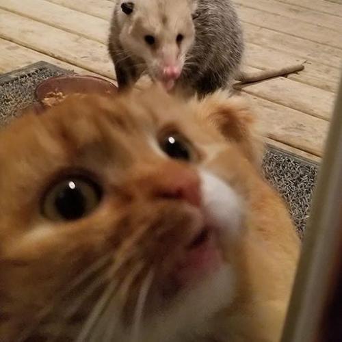 สมาชิกหมายเลข 5634288