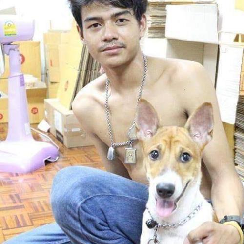 สมาชิกหมายเลข 6202291