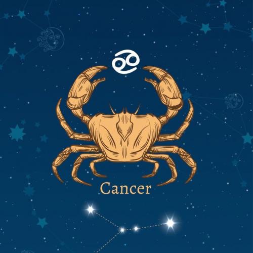 สมาชิกหมายเลข 6202737