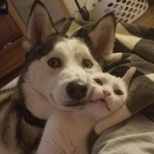 ลวดที่เป็นอุปกรณ์ไฟฟ้า