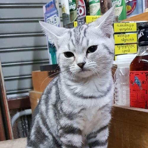 สมาชิกหมายเลข 3969368