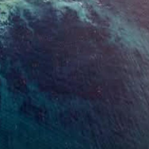 สมาชิกหมายเลข 8548884