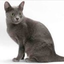 สมาชิกหมายเลข 4023860