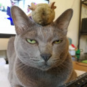 สมาชิกหมายเลข 2657629