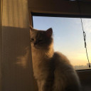 สมาชิกหมายเลข 5059205