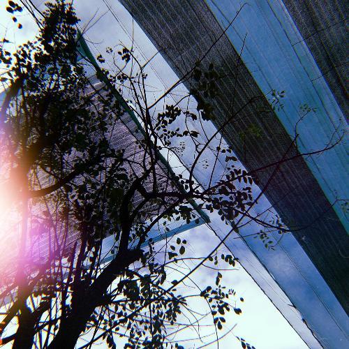 สมาชิกหมายเลข 5166373