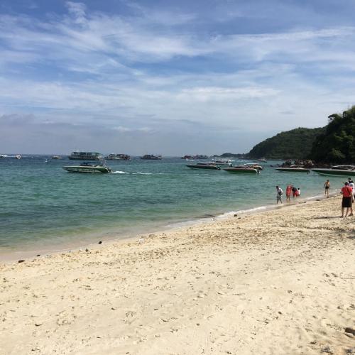 สมาชิกหมายเลข 2730620