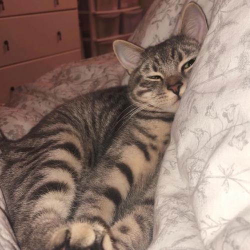 สมาชิกหมายเลข 5627546