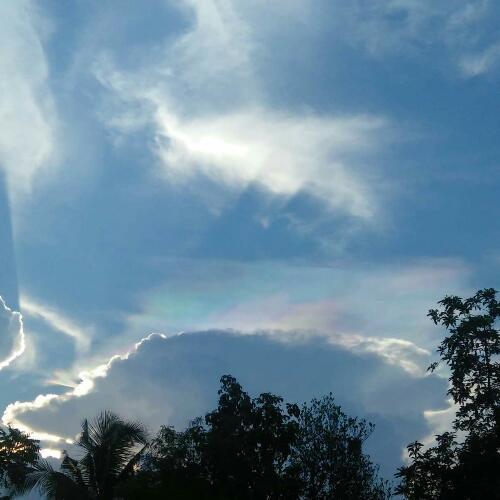 สมาชิกหมายเลข 5634358