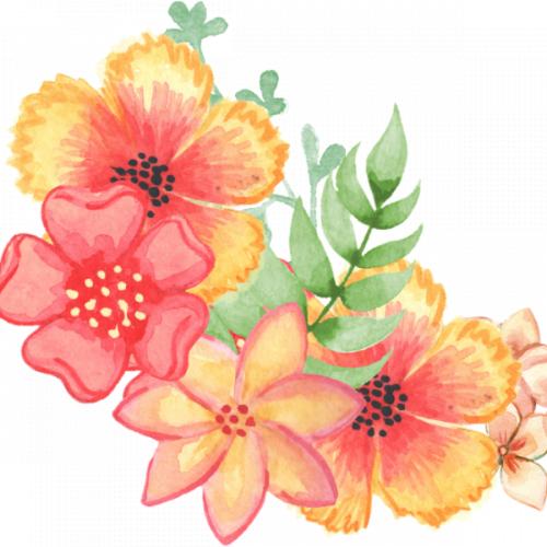 สมาชิกหมายเลข 5634742