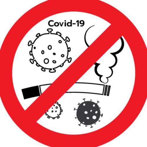 สมาชิกหมายเลข 4449867