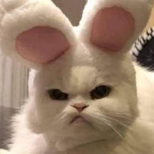 สมาชิกหมายเลข 6203685